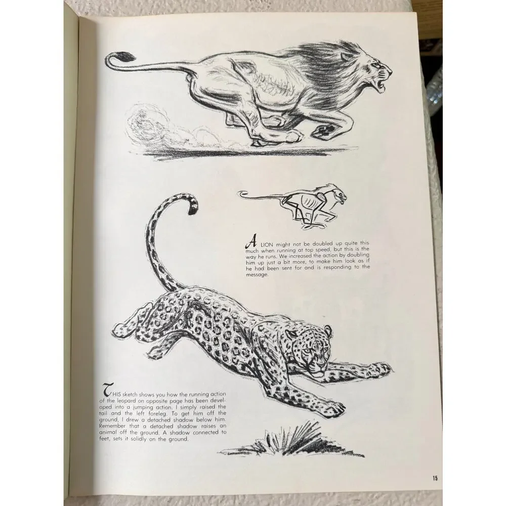 The Cats In Action by Walter J. Wilwerding Walter T. Foster Art Books #70